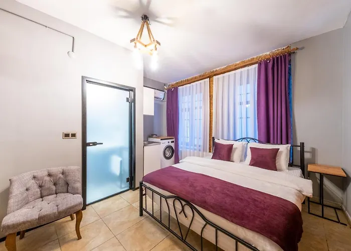 Frame & Suites 酒店 伊斯坦布尔